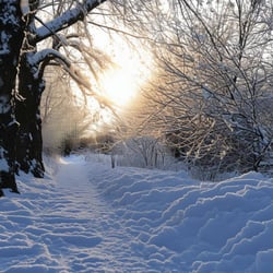 sneeuw voor de zon