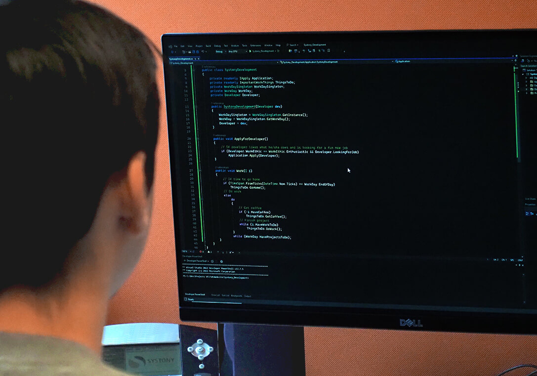 Junior software developer 2.0