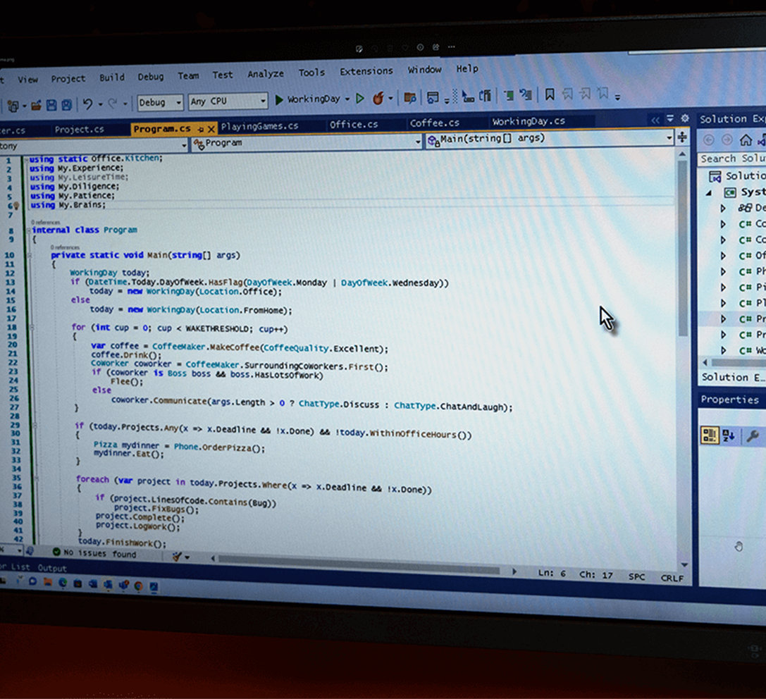 Vacature Software Developer Coderingsscherm