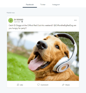 Sociale media planner en kalender HubSpot - voorbeeld bericht sociale media